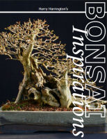 bonsai book
